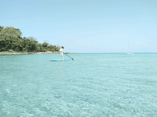Contadora Island Day Pass: Sailing + SUP